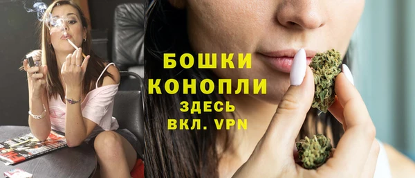 прущие крисы Белокуриха