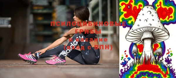 прущий лед Богородицк
