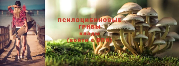 шишки Семикаракорск